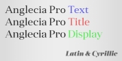 Anglecia Pro Text font download