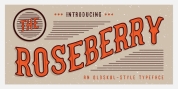 The Roseberry font download
