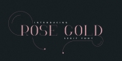 RoseGold Serif font download
