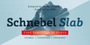 Schnebel Slab Pro font download