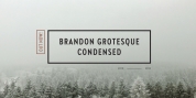 Brandon Grotesque Condensed font download