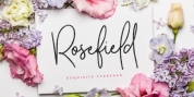 Rosefield font download