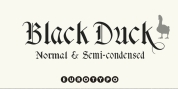 Black Duck font download