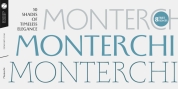 Monterchi font download