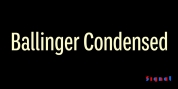 Ballinger Condensed Series font download
