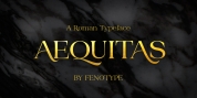 Aequitas font download