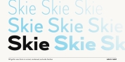 Skie font download
