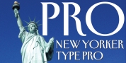 New Yorker Type Pro font download