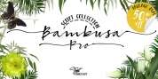 Bambusa Pro font download