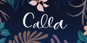 Calla Script font download