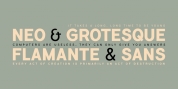 Flamante Sans font download