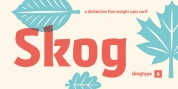 Skog Sans font download