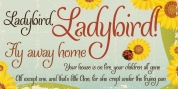 Ladybird font download
