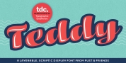 Teddy font download