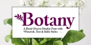 Botany font download