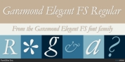 Garamond Elegant FS font download