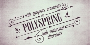 Polyspring font download