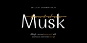 Musk font download