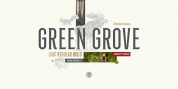 Green Grove font download