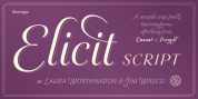 Elicit Script font download