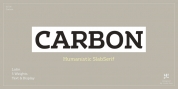 Ye Carbon font download