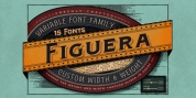 Figuera Variable font download