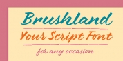 Brushland font download