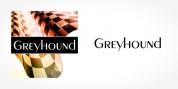 Greyhound font download