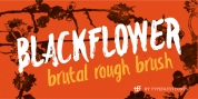 Blackflower font download