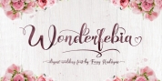 Wonderfebia font download