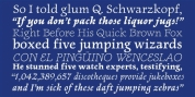 Newt Serif font download