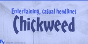Chickweed font download