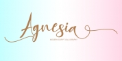 Agnesia font download