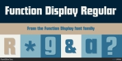 Function Display font download