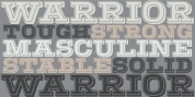 Warrior font download