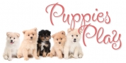 Puppies Play font download
