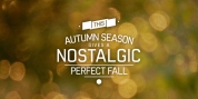 Perfect Fall font download