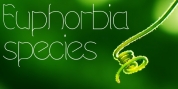 Euphorbia Species font download