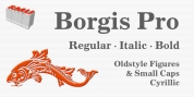 Borgis Pro font download
