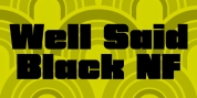 Well Said Black NF font download
