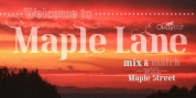 Maple Lane font download