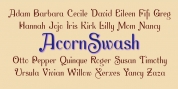AcornSwash font download