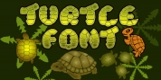 Turtle font download