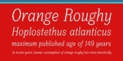 Orange Roughy font download
