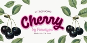 Cherry font download