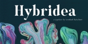 Hybridea font download