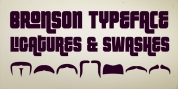 FT Bronson font download