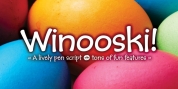 Winooski font download