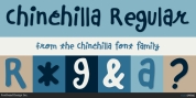 Chinchilla font download