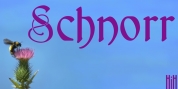 Schnorr font download